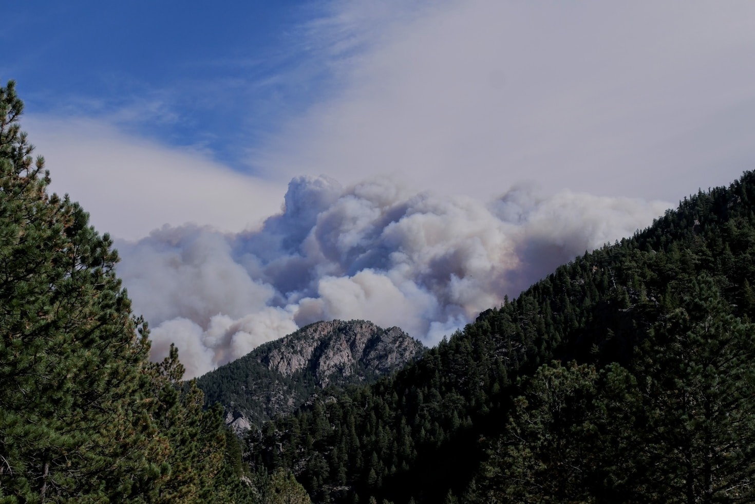 5 Ways You Can Help Restore Wild Lands