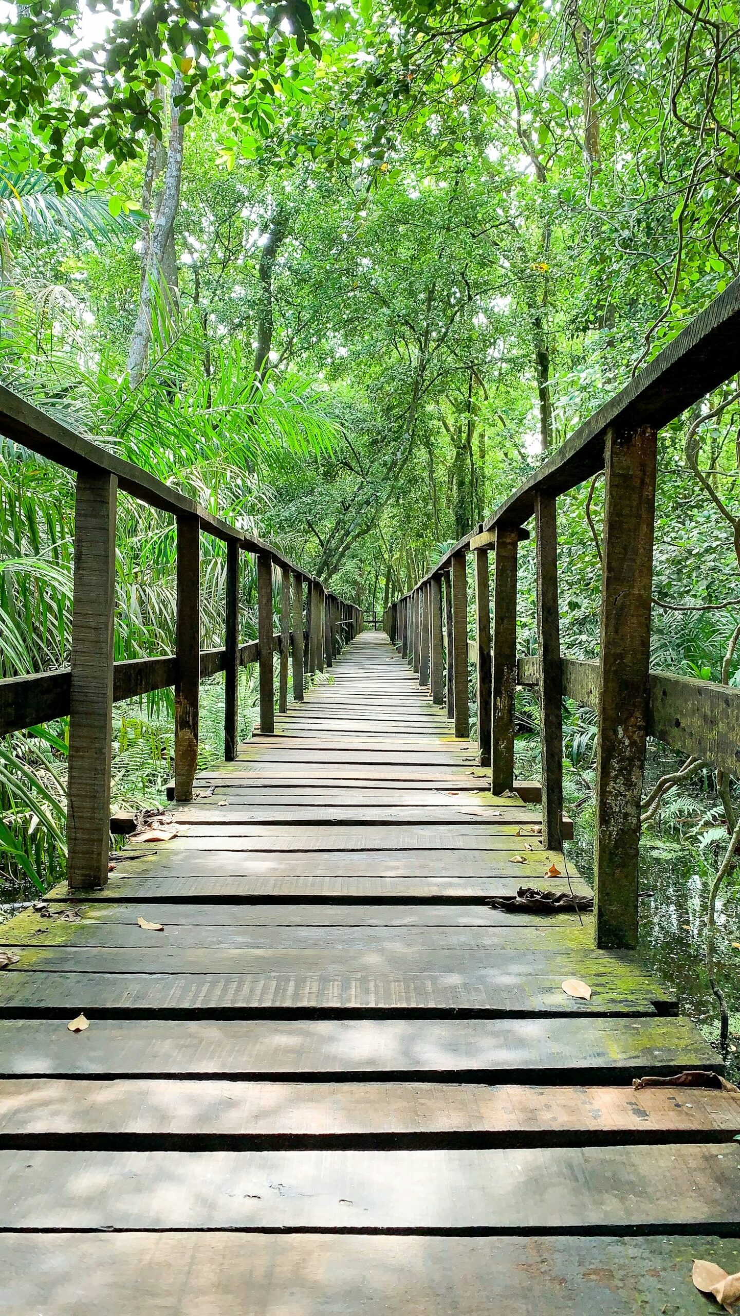 The Importance of Educating Future Conservationists