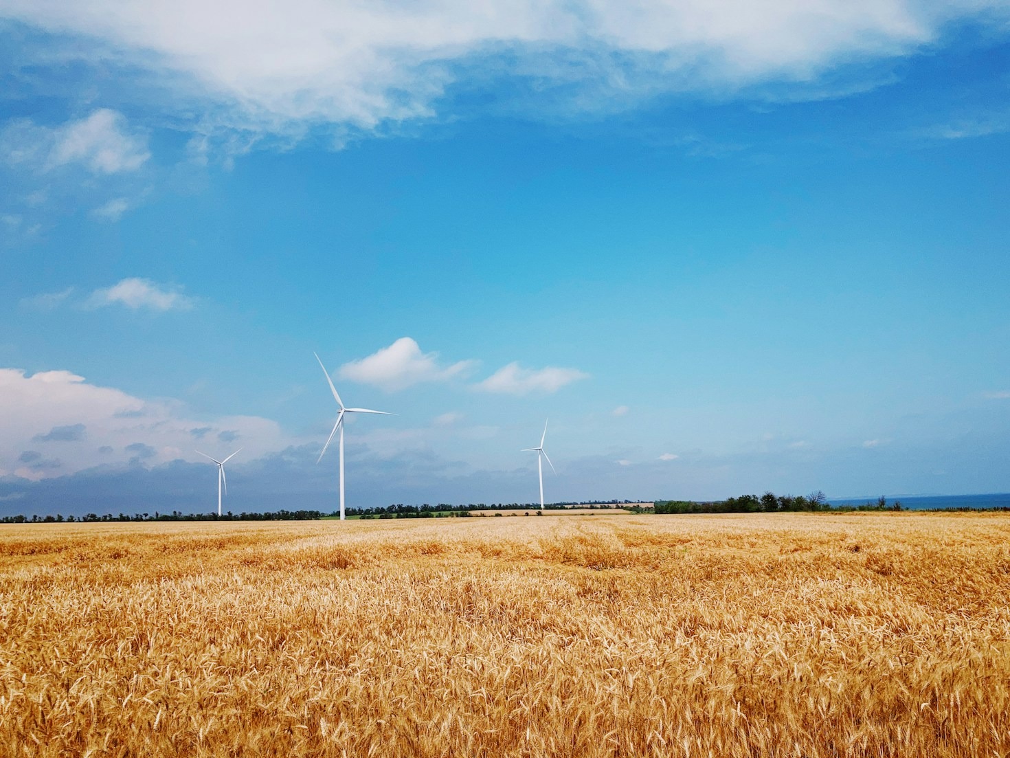 Building a Stronger Connection with Nature