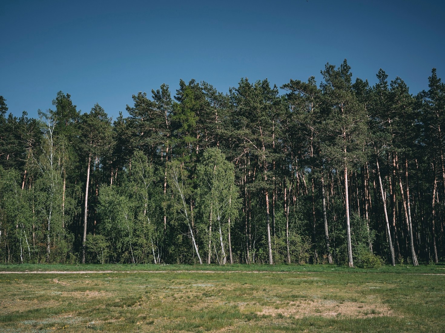 Why Stewardship is Key to Protecting Ecosystems